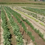 Agrodomki Okej-bialy Dom Feriehus