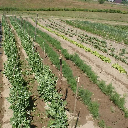Agrodomki Okej-bialy Dom Prázdninový dům