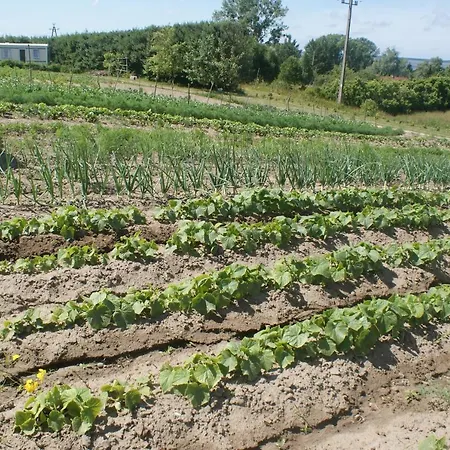 Agrodomki Okej-bialy Dom