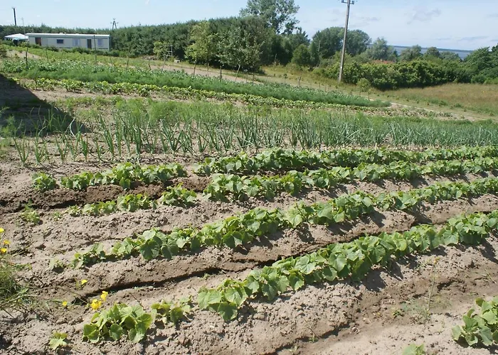 Agrodomki Okej-bialy Dom